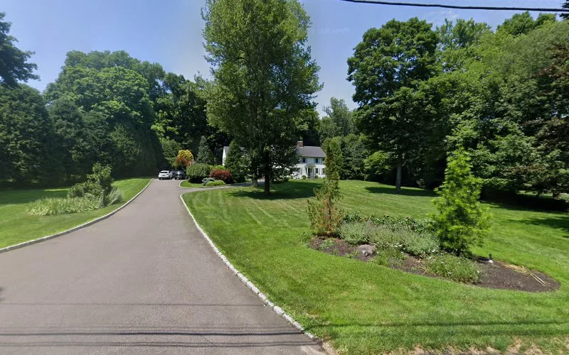 Bluestone Chimney & Dryer Vent