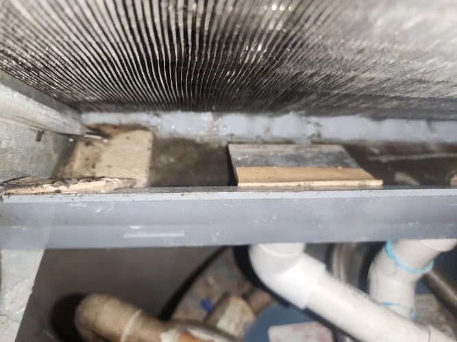 Mold & Duct Cleaning Experts