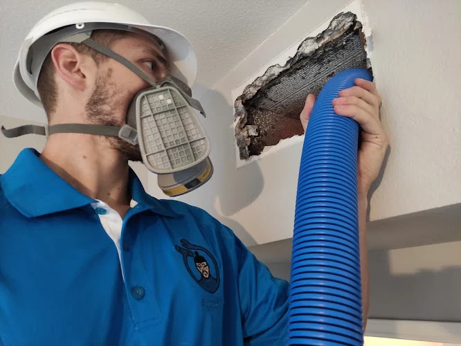 ASM Air Duct Cleaning Houston