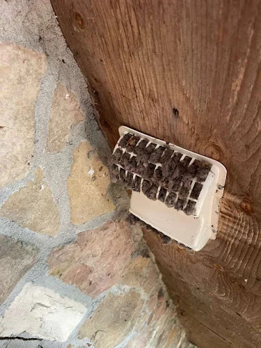 ZED Cleaning Vents