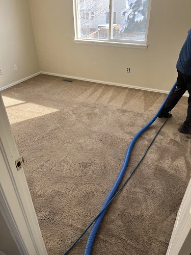 Pro Tech Carpet Cleaning Services & More