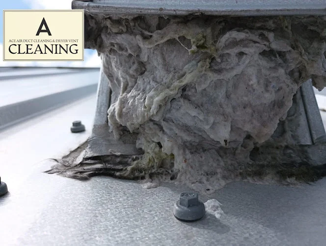 Ace Air Duct Cleaning & Dryer Vent Cleaning