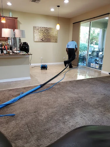 Zerorez Carpet Cleaning