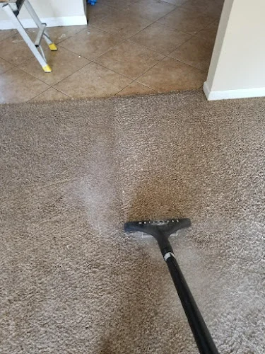 Precise Carpet Cleaning