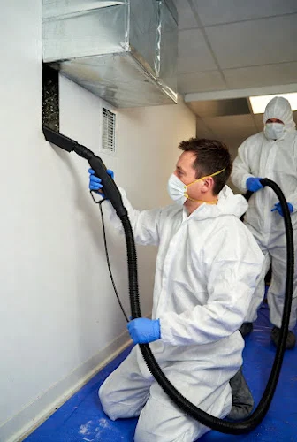 DOUG HILL CHIMNEY MAINTENANCE