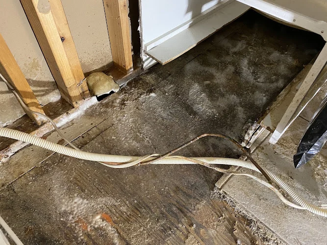 AdvantaClean of Gloucester and Camden Counties