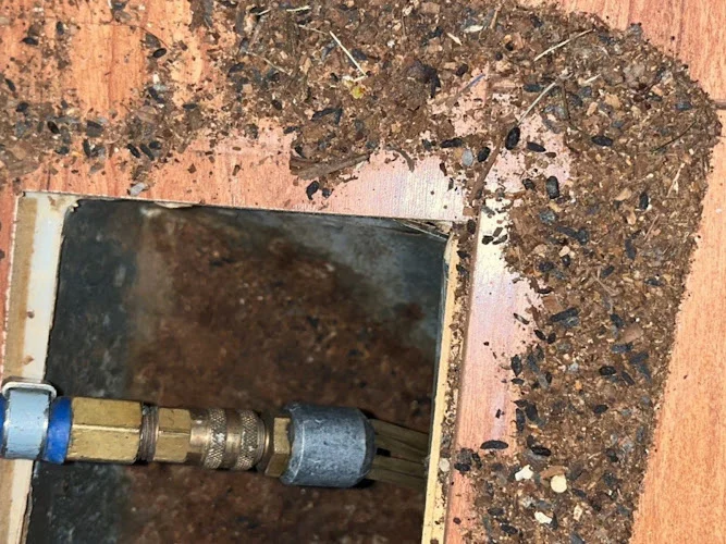 Emanuel's Ducts Care