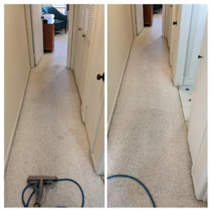 Green Line Cleaning Company