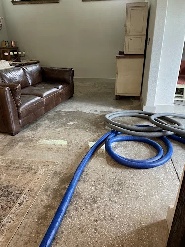 Absolute Carpet Care