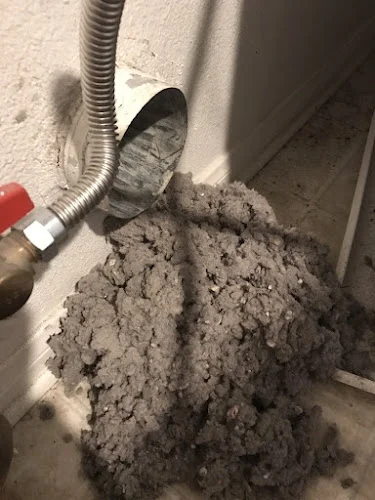 The Dryer Vent Guys