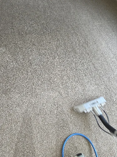 TLC Carpet & Air Duct Cleaning