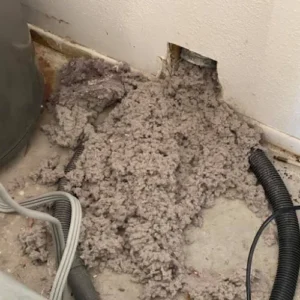 Lint Doctor