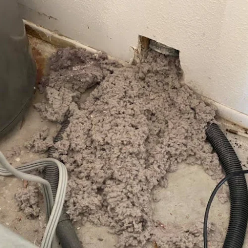 Lint Doctor