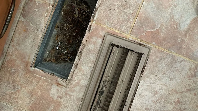 Alpha Air Duct Cleaning