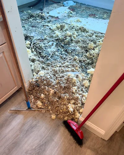 SERVPRO of Jacksonville South