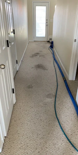 Xtra Clean Carpet Care And More