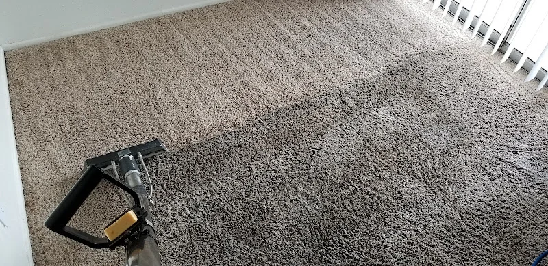 1st Choice Steam Cleaning