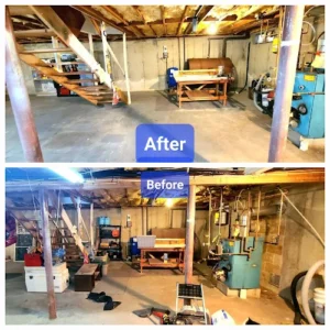 Darryl's Basement Cleaners