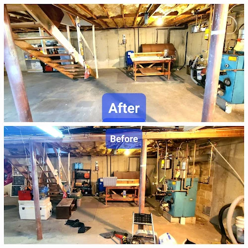 Darryl's Basement Cleaners