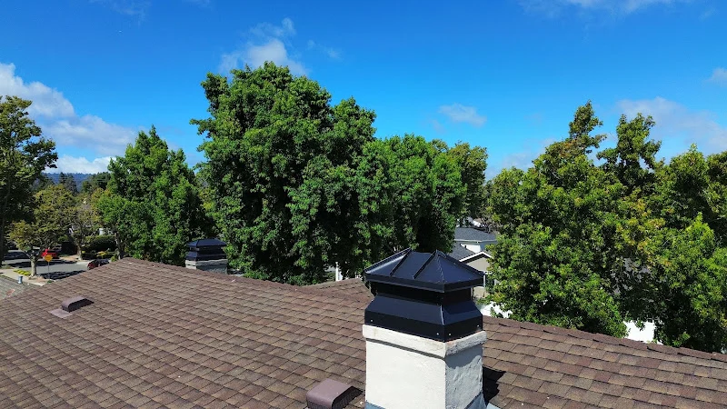 Chimney masters services