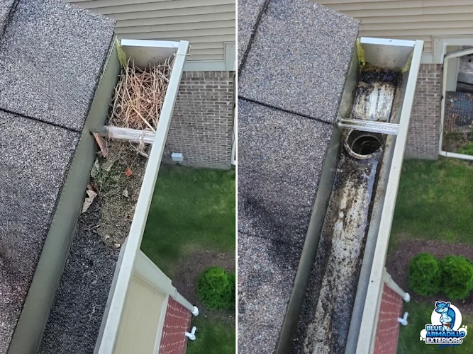 Blue Armadillo Exterior Cleaning