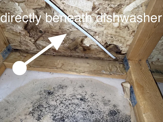 Higher Standards Carpet Cleaning and Restoration