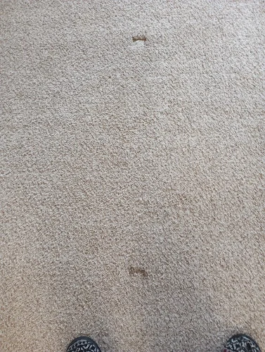 L & N Carpet Cleaning