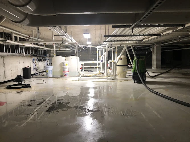 SERVPRO of Sarasota