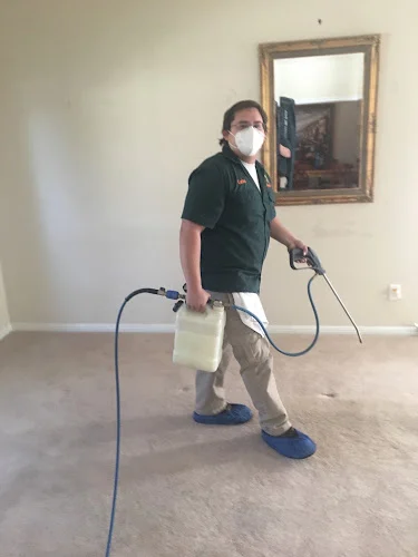 Peace Frog Specialty Cleaning