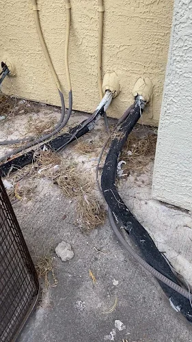 Excel Carpet Care