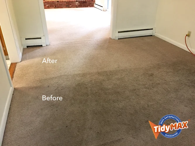 TidyMAX