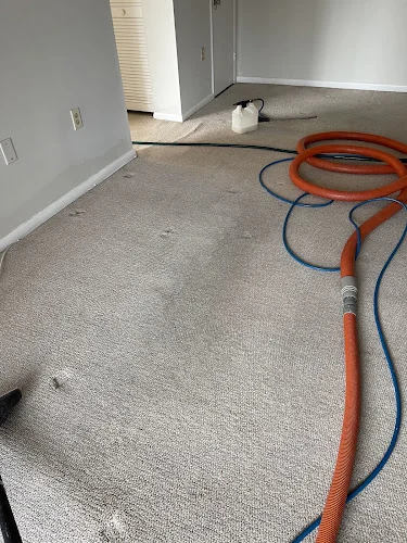 White Knight Carpet Cleaning