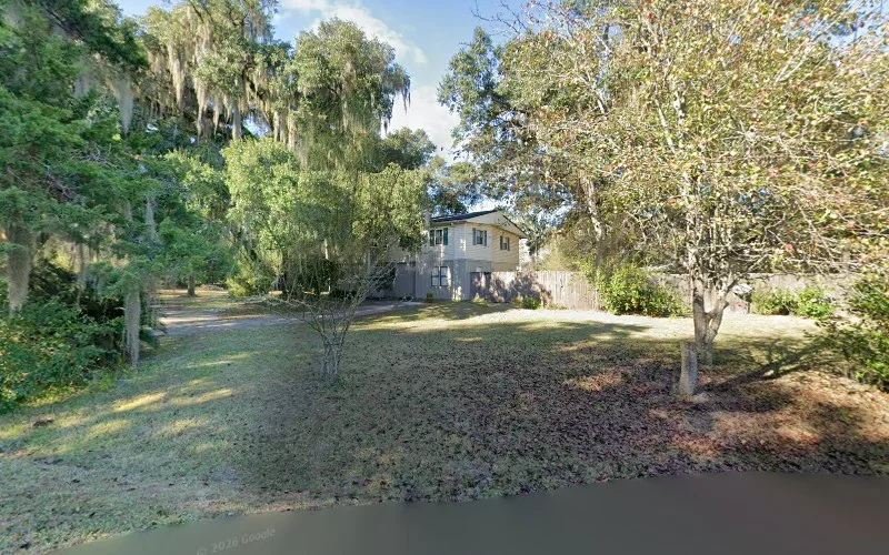 Over Pest Control Services & Dryer Vent Cleaning And Chimney Repair Of Florida