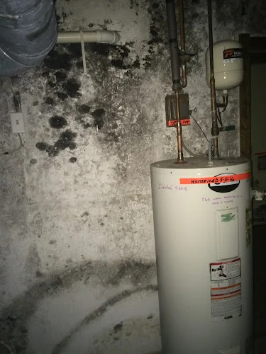 Indiana Mold Remediation