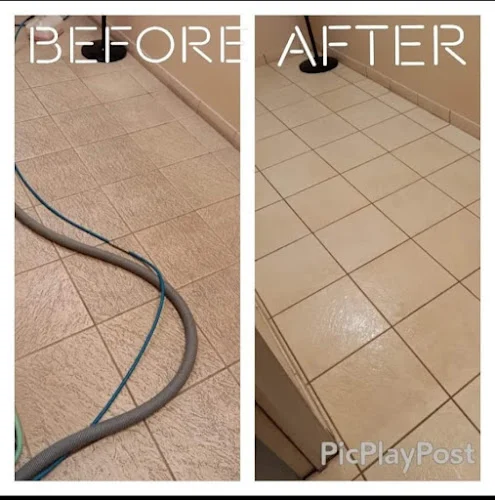 Ace Carpet Cleaning and Water Restoration
