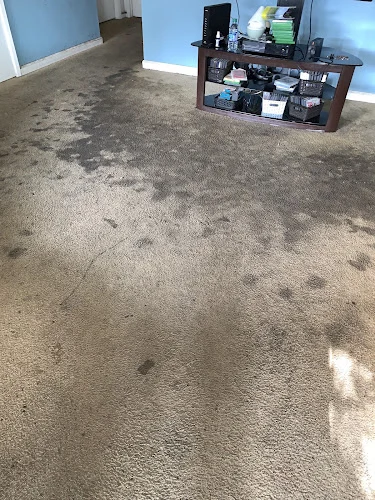 Magic Wand Professional Cleaning Services