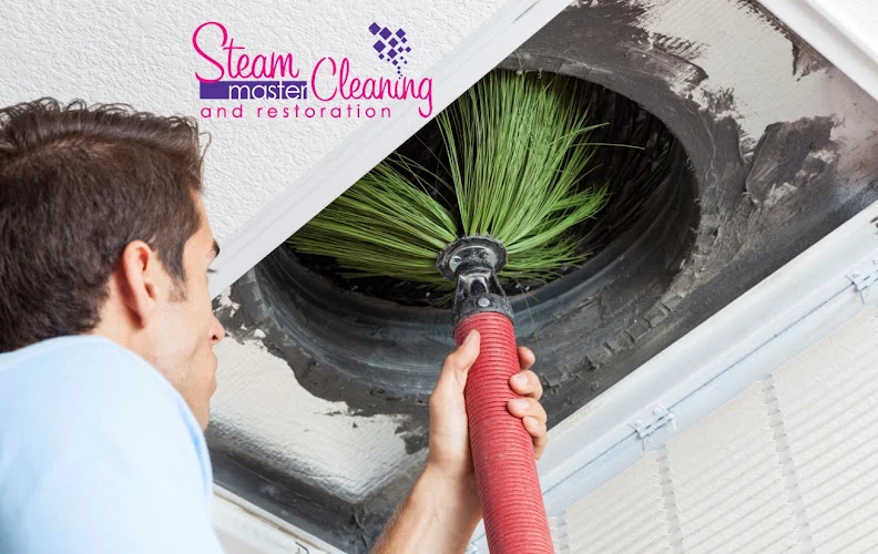 Steam Master Cleaning