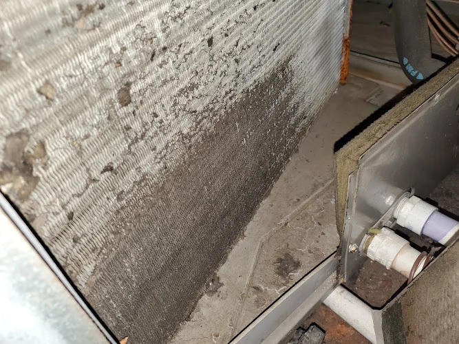 Clean Air Plus Air Duct Cleaning