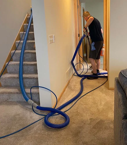 Bloomington Carpet & Upholstery Cleaning
