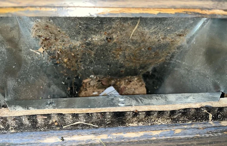 D.B Dryer Vent & Air Duct Cleaning Services Inc OF WA,