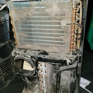 Advanced Air Quality Inc