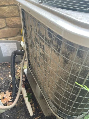 Service Experts Indianapolis