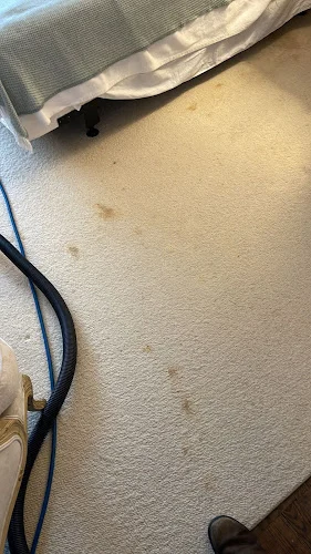 NYC Local Carpet & Rug Cleaning