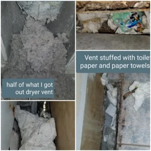Page Inspections Plus Inc