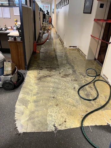 SERVPRO of Lake Mary, Heathrow