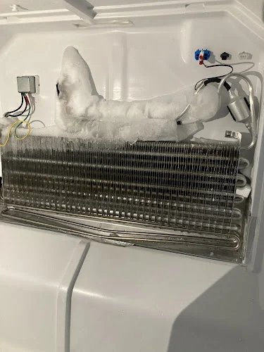 Expert Appliance Repair
