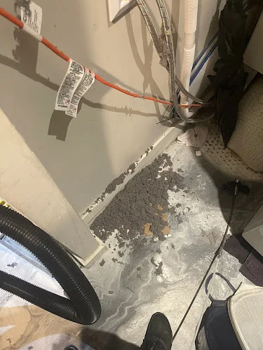 Forge Dryer Vent Cleaning Dunedin