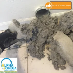 Alpha & Omega Carpet Care