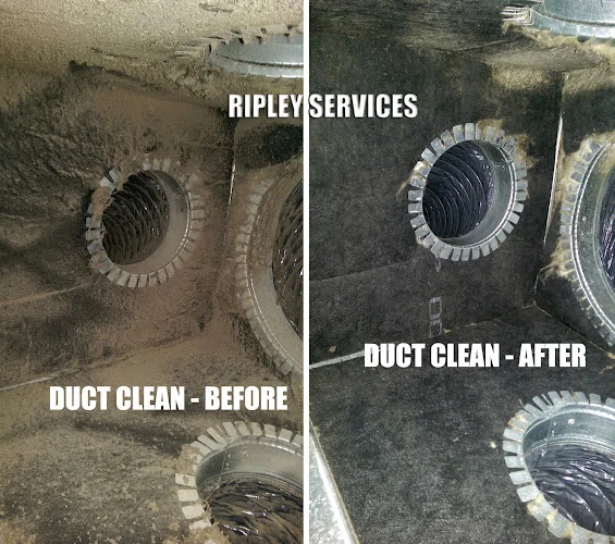 Ripley Services