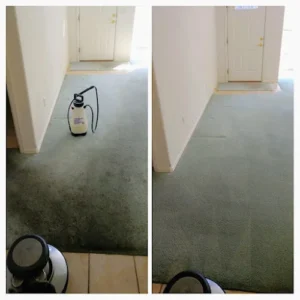 Heaven's Best Carpet Cleaning